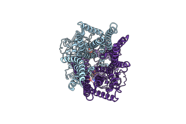 8K7C image