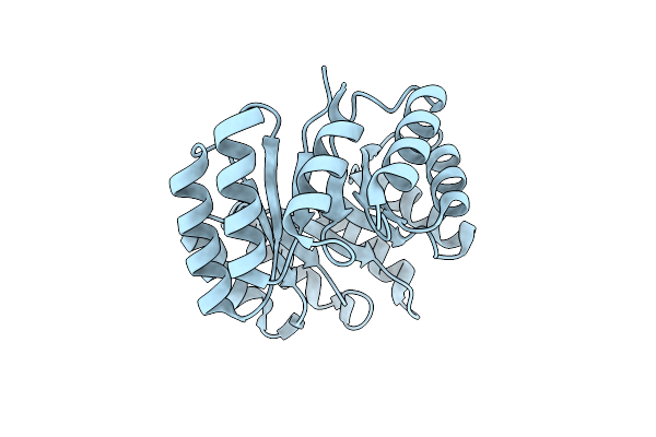 8K7O image