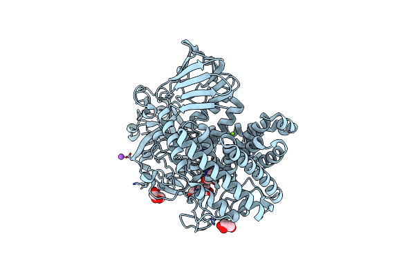 8K7X image