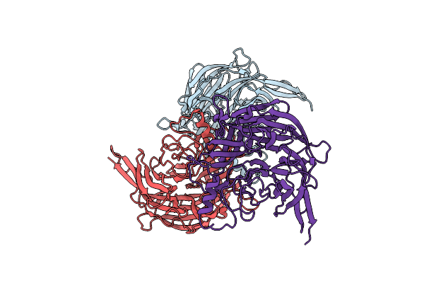 8K80 image