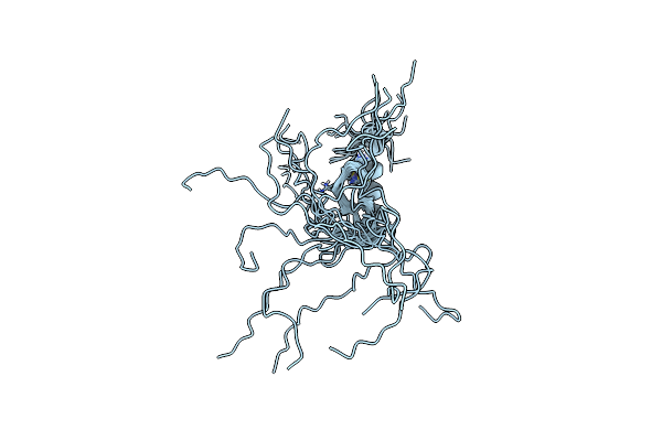8K81 image