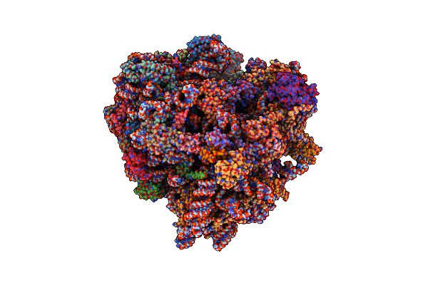 8K82 image