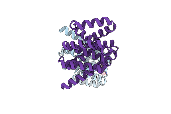 8K84 image