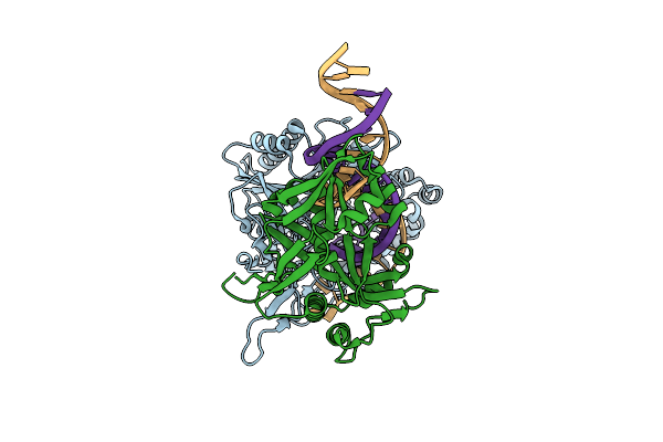 8K88 image