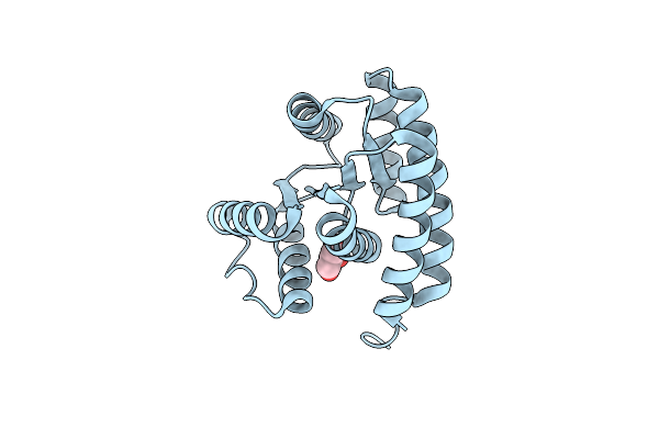 8K8F image