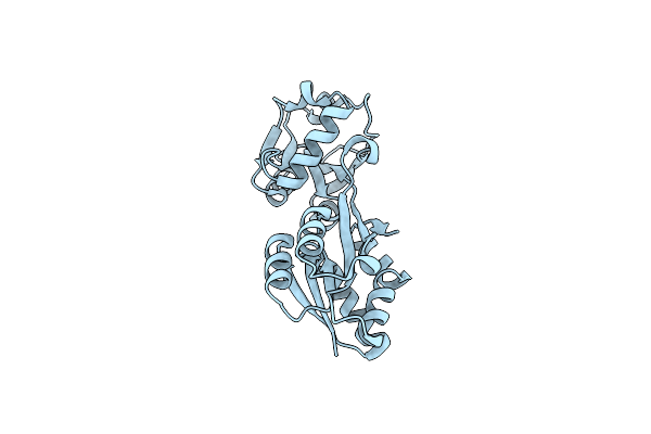 8K8K image