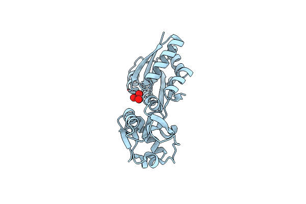8K8L image