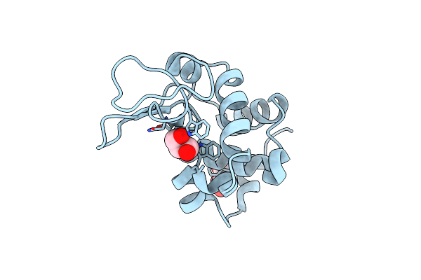 8K8M image
