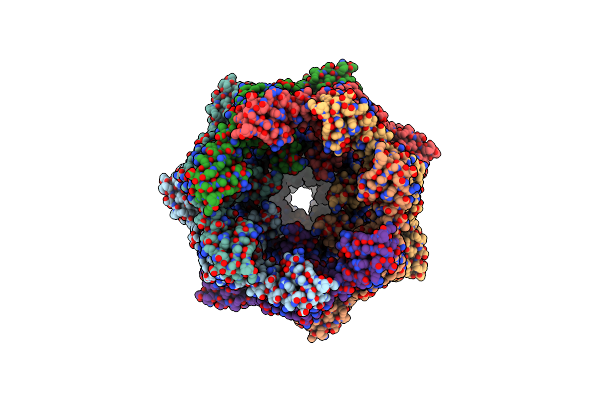 8K8V image