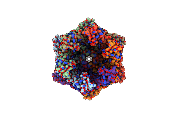8K8Z image