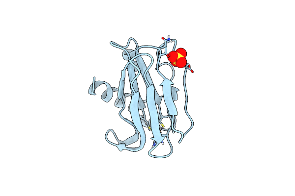 8K9P image