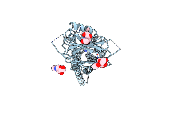 8KB4 image