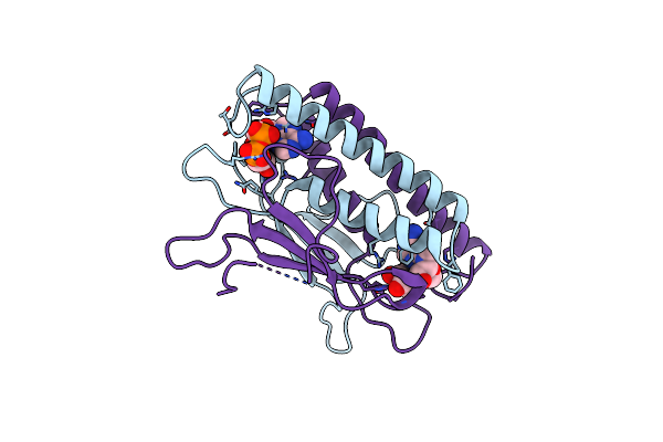 8KBE image