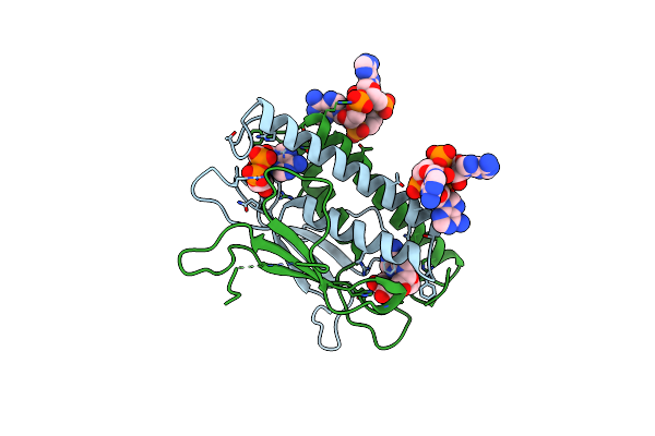 8KBF image