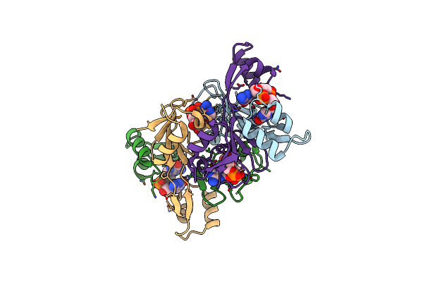 8KBK image