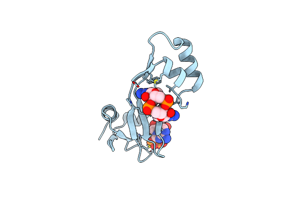 8KBL image