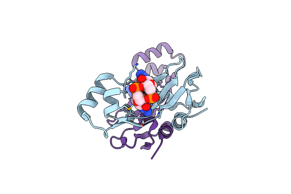 8KBM image