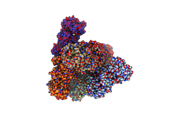 8KBW image