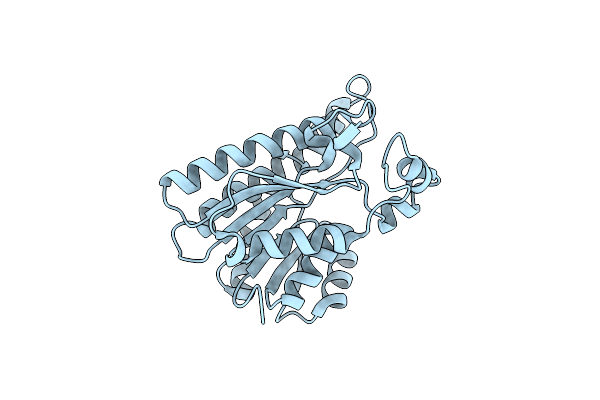 8KC6 image