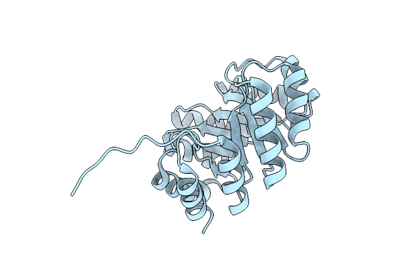 8KC8 image