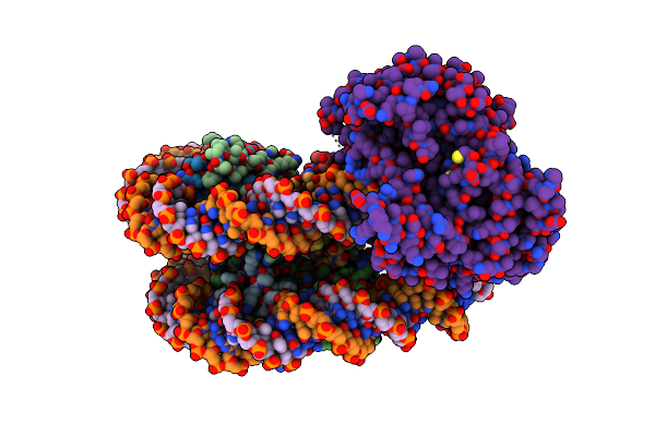 8KCB image