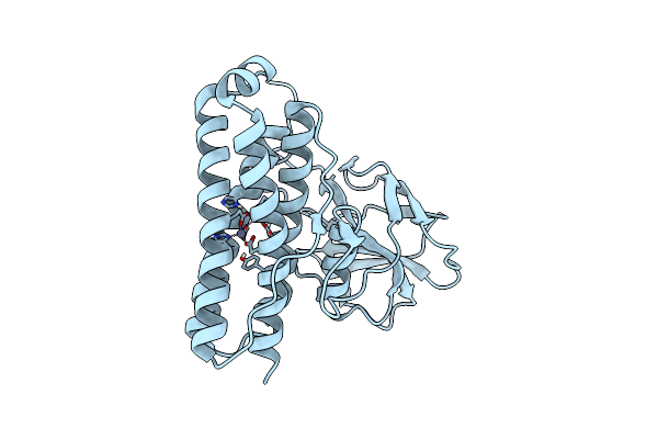 8KCE image