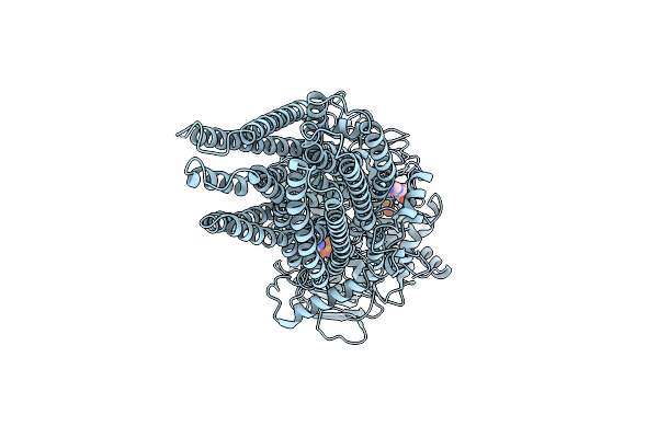 8KCI image