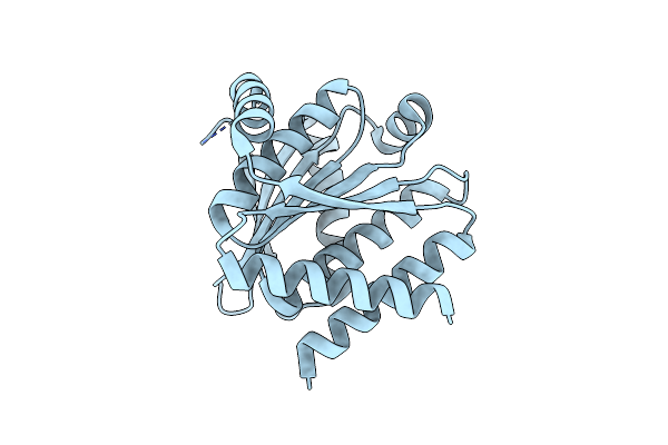 8KCK image