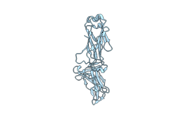 8KCL image