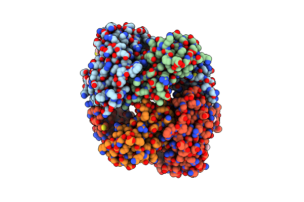 8KCV image