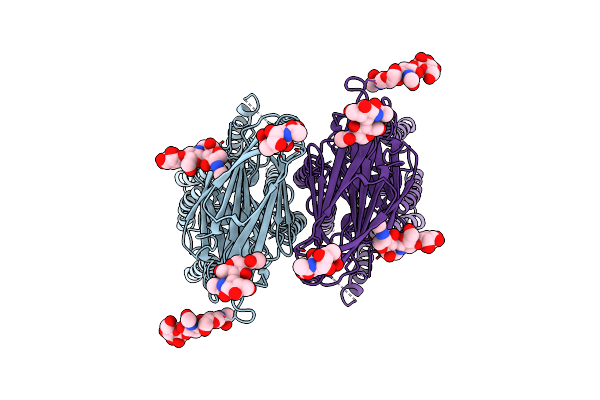 8KCX image