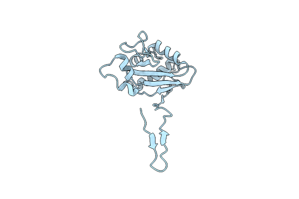8KD8 image
