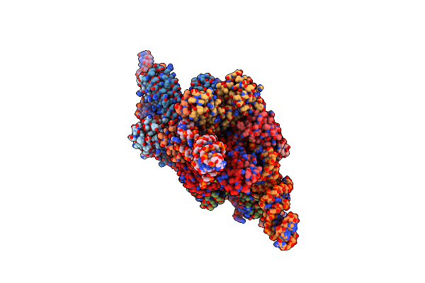 8KDA image