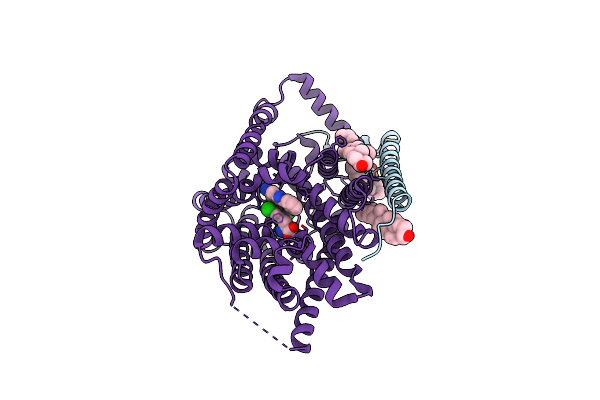8KDF image