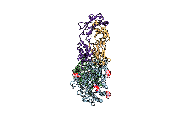 8KDG image