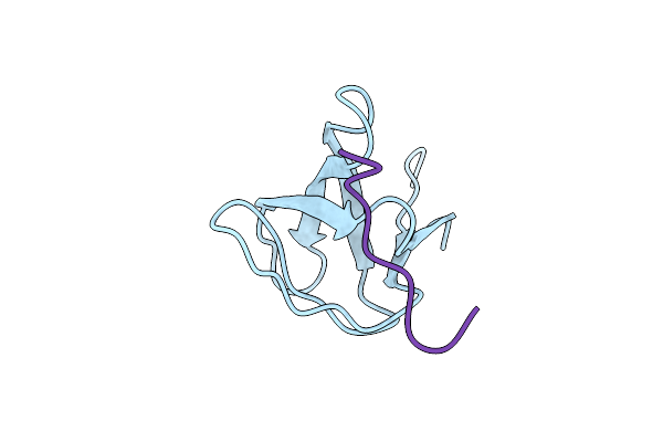 8KDX image