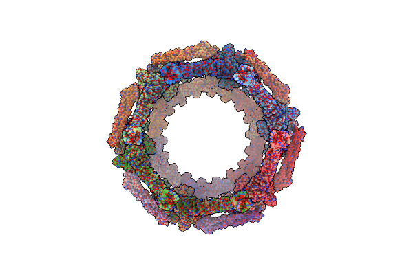8KEC image