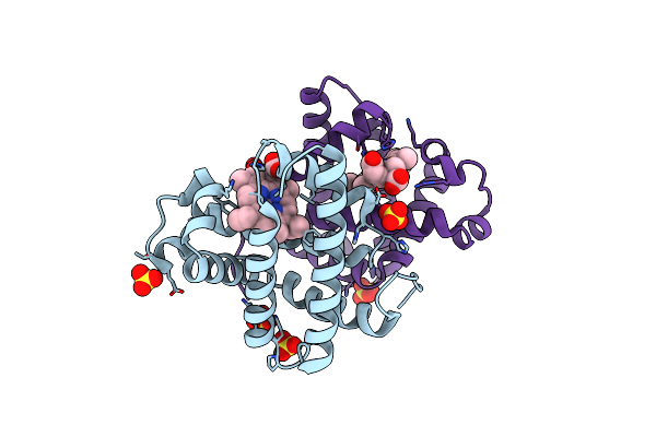 8KFH image