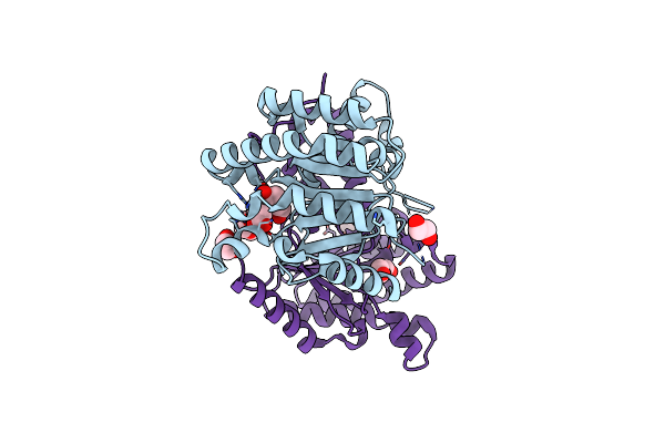 8KGA image