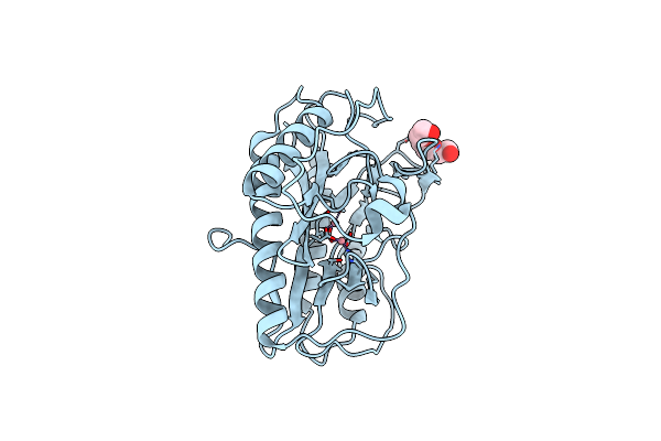 8KHN image