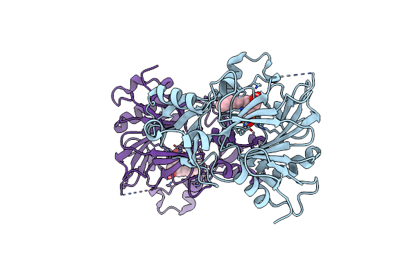 8KHT image