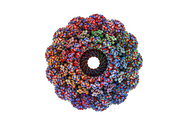 8ODN image