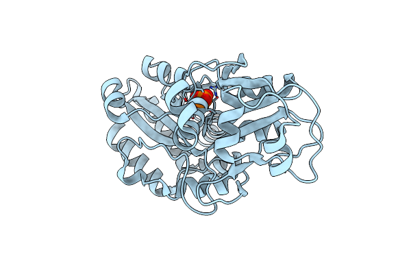8ODS image