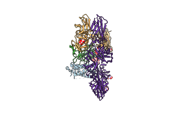 8ODZ image