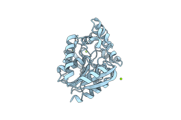 8OE6 image