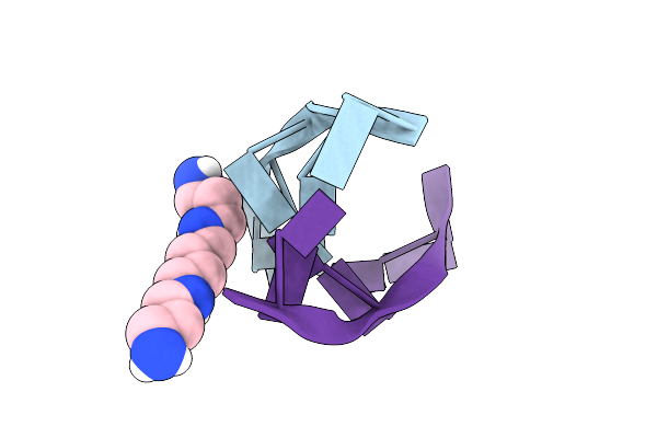 8OE9 image