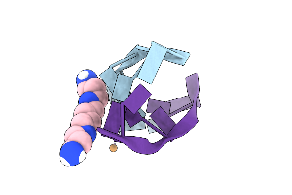 8OEC image