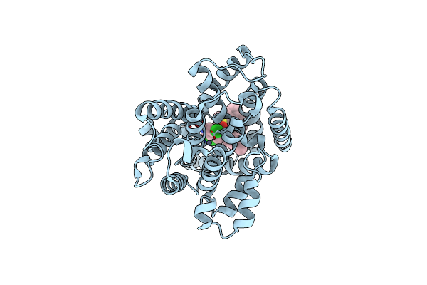 8OEG image
