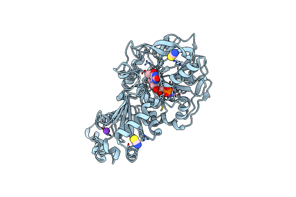 8OEH image