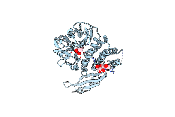 8OEK image